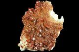 Ruby Red Vanadinite Crystals on Pink Barite - #80534-1